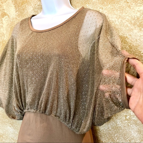RJ STORY⚡️Glitter Mesh Batwing Mocha Dress_S - Picture 3 of 8
